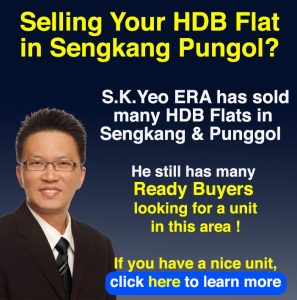 Sengkang-Punggol-Property-Agent